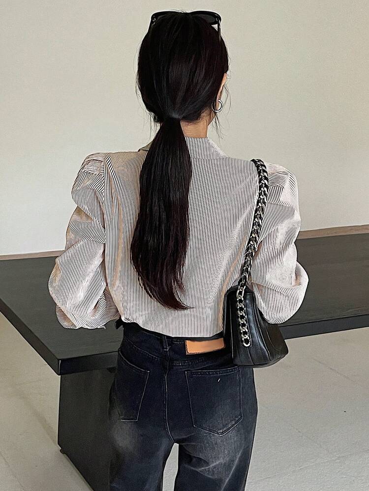 Striped Puff Sleeve Lapel Collar Button Down Long Sleeve Shirt For Women,Ruffle,Fall Clothes