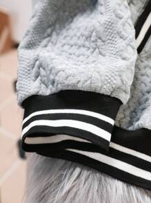 SHEIN EZwear Plus Size Women Casual Long Sleeve Gray Striped Baseball Jacket, Spring Autumn