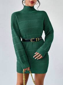 Rafferiza Textured Solid Color Turtleneck Long Sleeve Sweater Dress Fall Winter Cloth For Women - Green - View 5