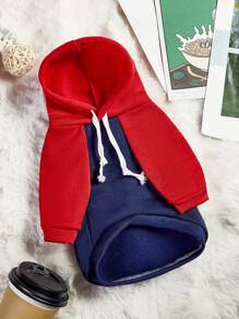 PETSIN 1 pièce sweat-shirt à capuche pour chien de compagnie dans l'impression de lettre vintage de Boston 1839, design de bloc de couleur contrastée