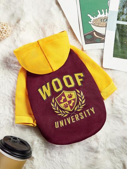 PETSIN 1 件复古色块 WOOF 大学字母印花连帽运动衫，适合宠物