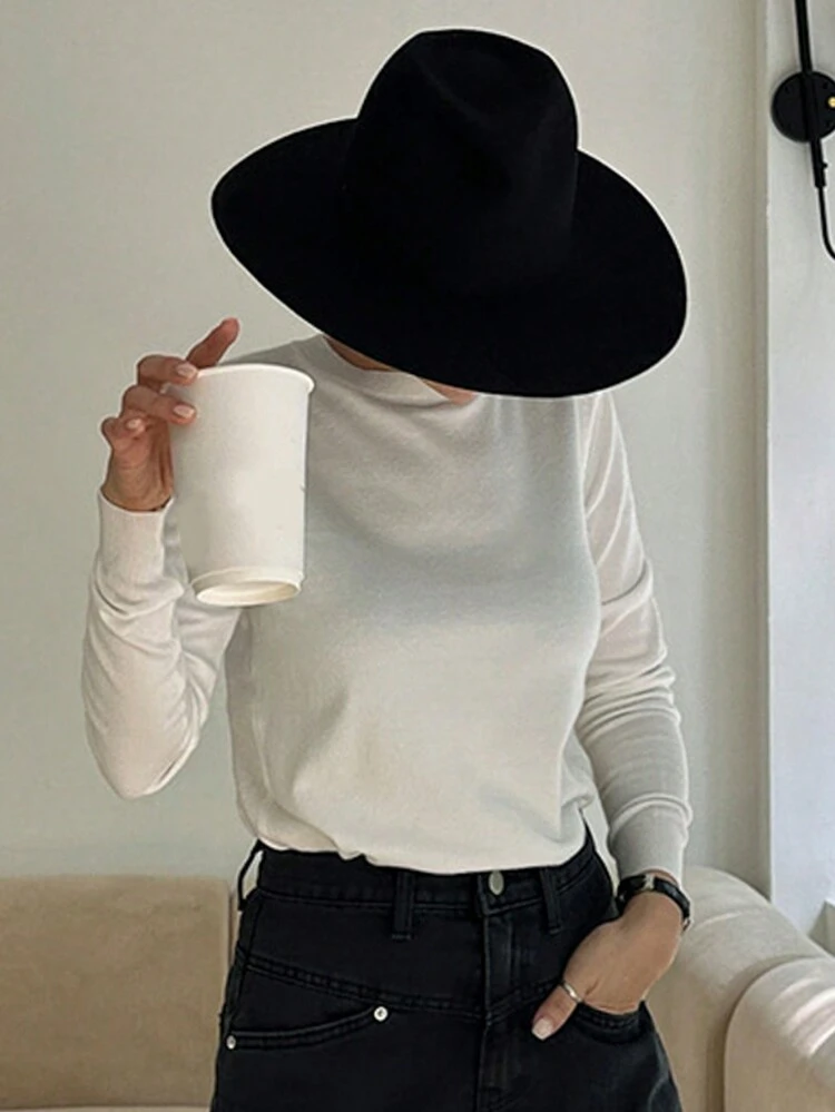 Women's Crew Neck Solid Color Cropped Regular Fit Knit Sweater, Spring/Fall Clothes