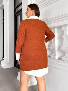 SHEIN Essnce Plus Colorblock 2 In 1 Dress