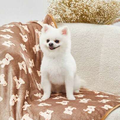PETSIN 可爱棕熊印花温暖宠物毯