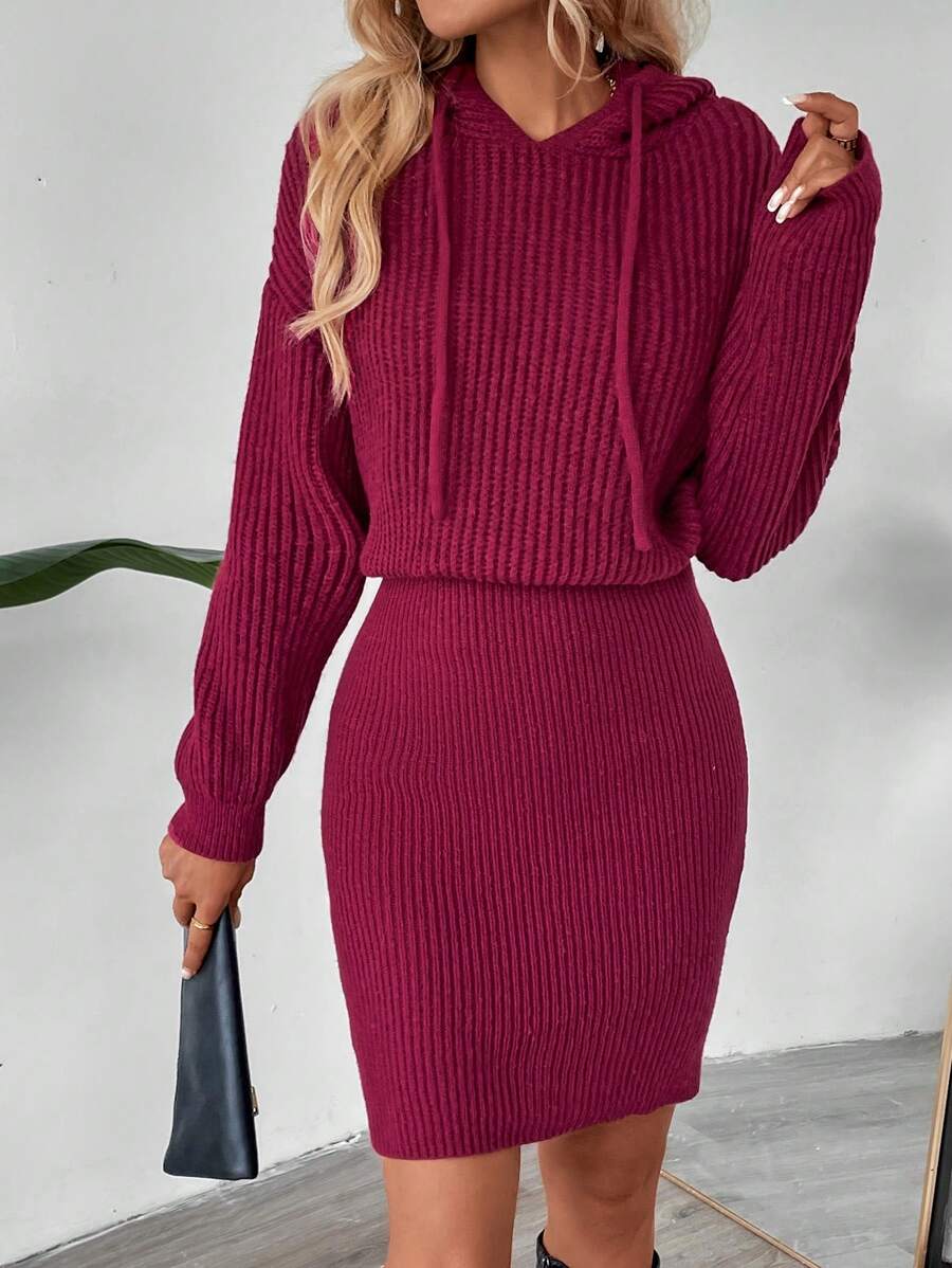 SHEIN LUNE 女式纯色连帽长袖休闲基本款毛衣连衣裙，秋冬 - 酒紅色 - 查看 1