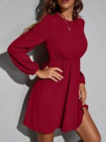 SHEIN Clasi Solid Color Waisted Long Sleeve Casual Dress, Suitable For Music Festival Burgundy Color Women Outfit