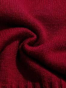 Baby Girls Cable Knit Pleated Winter Dress