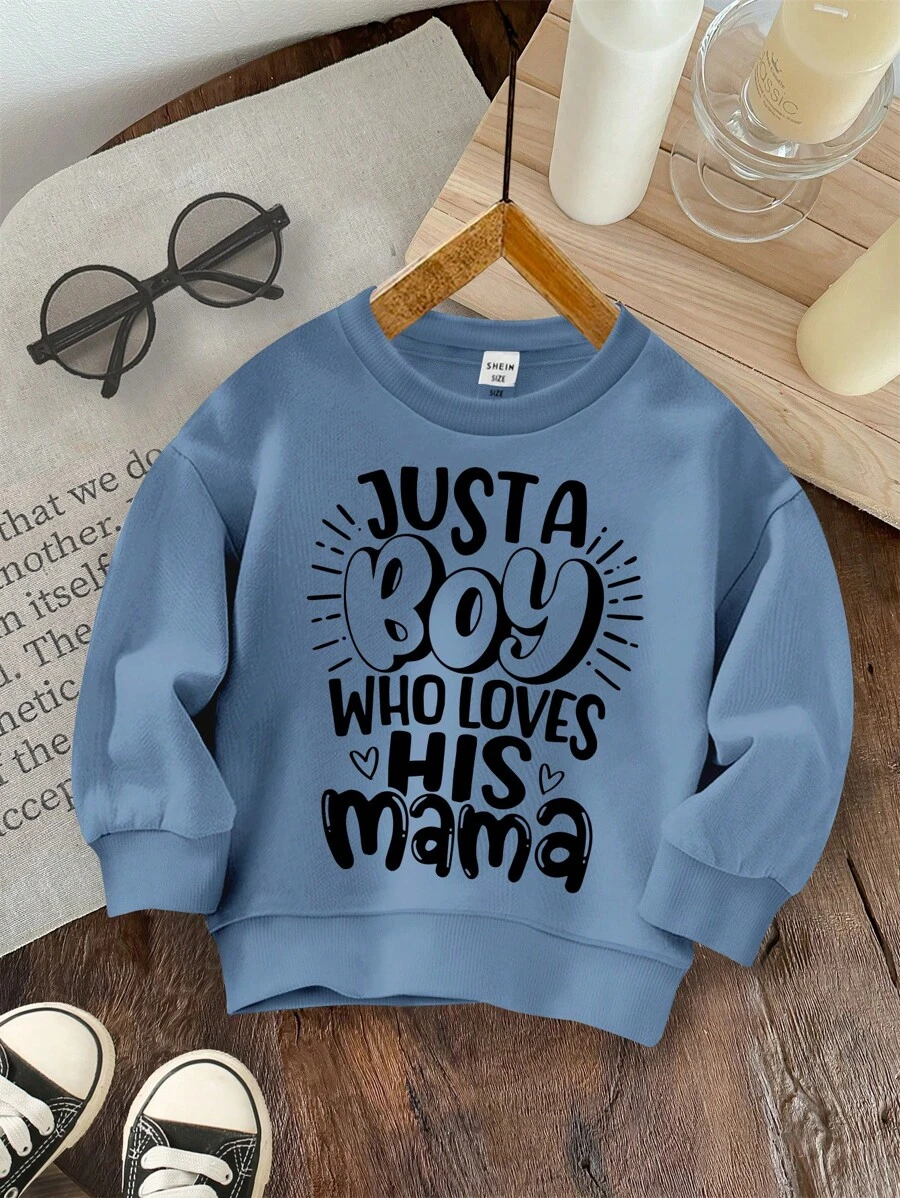 SHEIN Leap Crew 男婴柔软针织圆领厚毛衣,秋冬季休闲款 - 霧霾藍 - 查看 1