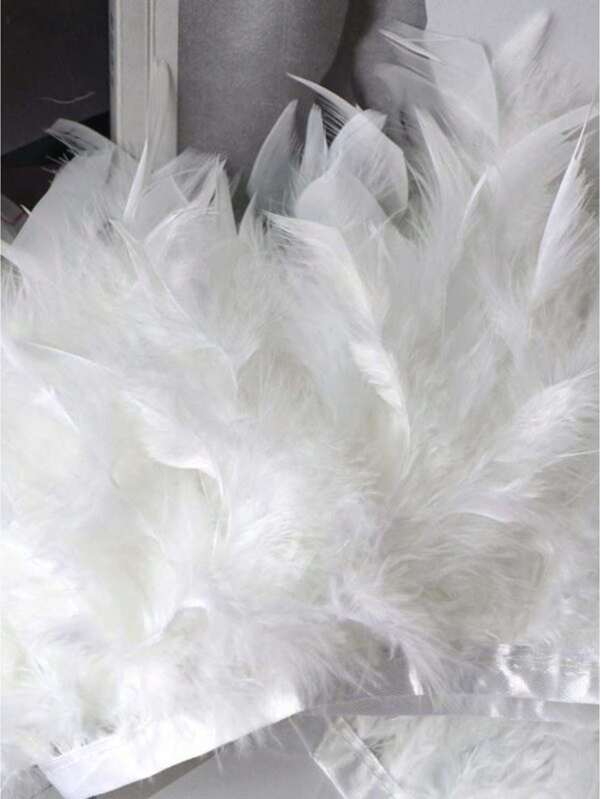 SHEIN 1m Feather Trimmed Fabric Ribbon For Handmade Diy Dance Clothing Doll Clothing Accessories Car Pendant Clothing Making Performance Clothing