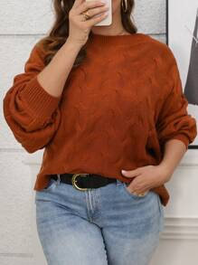 SHEIN LUNE Plus Size Solid Color Boat Neck Casual Long Sleeve Pullover Sweater Knit Pullover Fall Winter - Coffee Brown - View 6