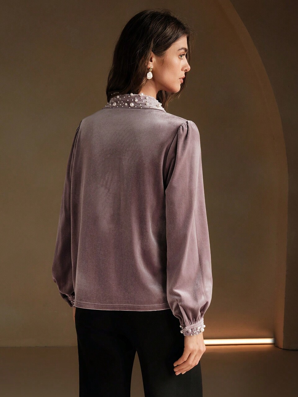 Early Autumn/Winter Velvet Peter Pan Collar Long Sleeve Jewel Decor Commuting Elegant Blouse Women Shirt