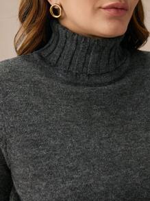 BizChic Plus Size Women Plain High Neck Pullover Sweater, Autumn/Winter Fall Women Outfits  Turtleneck Sweater - Black - View 3