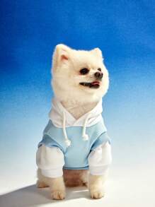 PETSIN 1 chiếc áo hoodie thường ngày in chữ Columbia University tương phản màu xanh và trắng cho chó mèo cưng 2 trong 1 - Nhiều màu - Xem 4