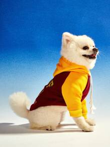 PETSIN 1pc Vintage Color Block WOOF University Letter Print Hoodie Sweatshirt For Pets - Multicolor - View 4