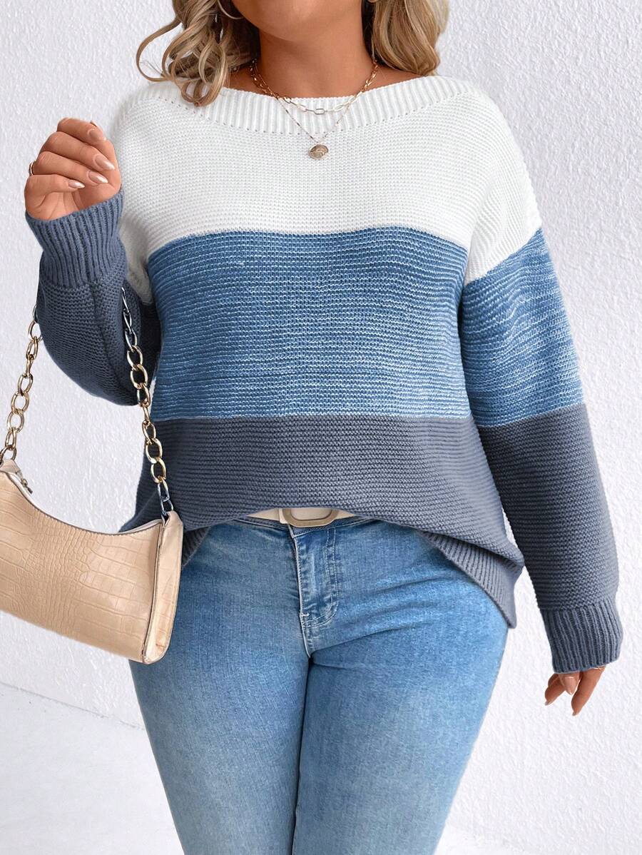 SHEIN LUNE Plus Size Women Contrast Color Round Neck Drop Shoulder Long Sleeve Casual Sweater, Autumn/Winter Knit Pullover Fall Outfit