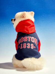 PETSIN 1 pièce sweat-shirt à capuche pour chien de compagnie dans l'impression de lettre vintage de Boston 1839, design de bloc de couleur contrastée