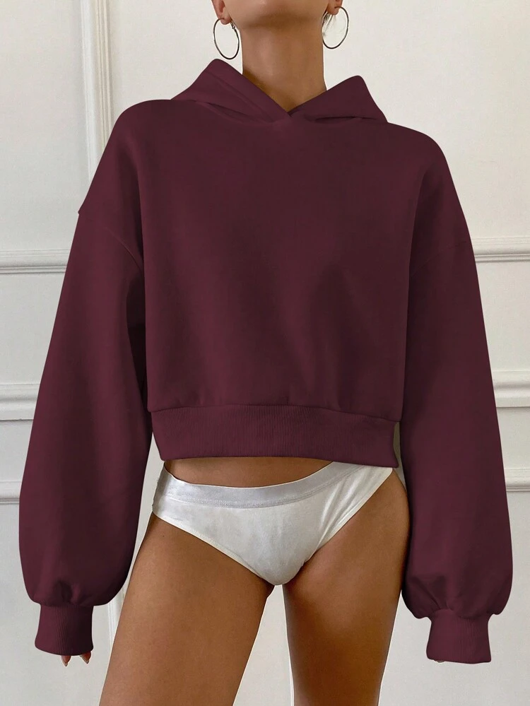 Basic Style Casual Round Neck Fleece Sweatshirt For Women,Fall Clothes Hoodie