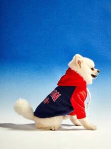 PETSIN 1 pièce sweat-shirt à capuche pour chien de compagnie dans l'impression de lettre vintage de Boston 1839, design de bloc de couleur contrastée