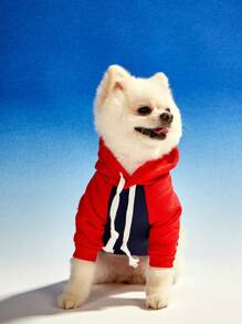 PETSIN 1 pièce sweat-shirt à capuche pour chien de compagnie dans l'impression de lettre vintage de Boston 1839, design de bloc de couleur contrastée