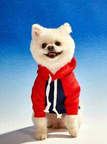 PETSIN 1 pièce sweat-shirt à capuche pour chien de compagnie dans l'impression de lettre vintage de Boston 1839, design de bloc de couleur contrastée