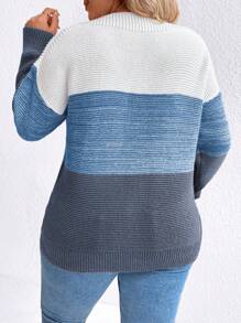 SHEIN LUNE Plus Size Women Contrast Color Round Neck Drop Shoulder Long Sleeve Casual Sweater, Autumn/Winter Knit Pullover Fall Outfit