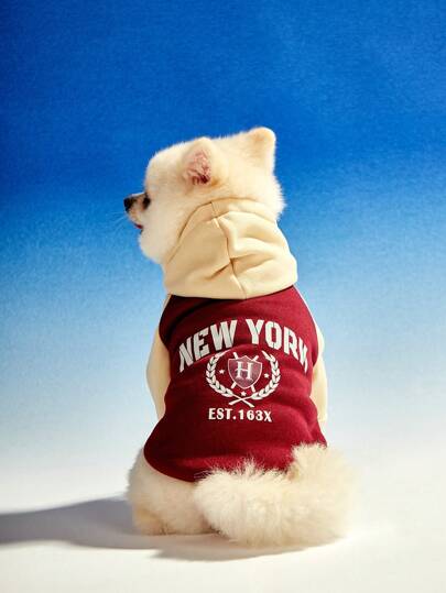 PETSIN 1 件宠物狗和猫学院风“纽约”字母印花拼布连帽衫，复古色彩