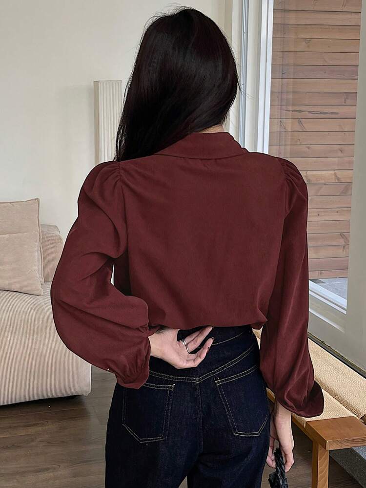 Color Block Ribbon Collar Lantern Sleeve Loose Turndown Collar Women Blouse,Fall Women Clothes Long Sleeve Top