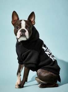 PETSIN Tình yêu không bao giờ thất bại Phong cách đường phố Áo hoodie thú cưng màu đen, 1 cái - Nhiều màu - Xem 2