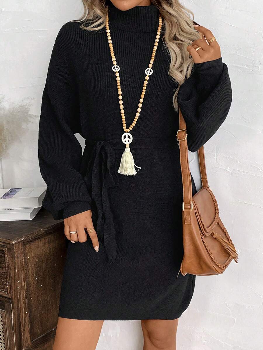 EMERY ROSE 女士休闲纯色高领收腰毛衣连衣裙，秋冬 - 彩色 - 查看 1