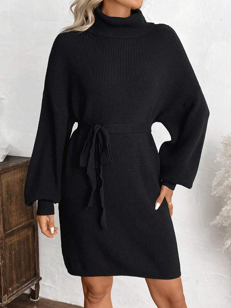 Women Casual Solid Color Turtleneck Waist Cinched Sweater Dress, Autumn/Winter