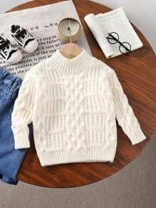Young Boy Plain Minimalist Stand Collar Thick Knit Sweater, Fashionable Casual Long Sleeve Warm Pullover