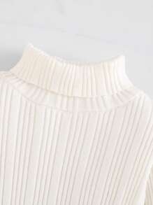 SHEIN Baby Girl Minimalist Ivory Knitted Turtleneck Long Sleeve Dress, Autumn/Winter