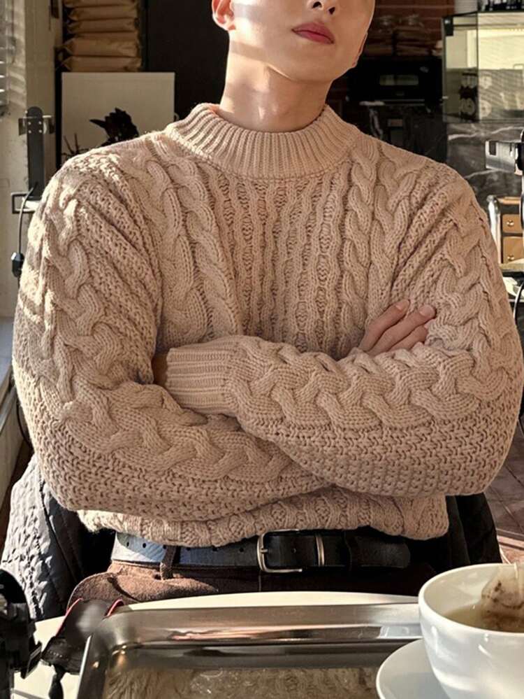 Men's Casual Solid Color Twisted Knit Sweater, Autumn/Winter