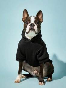 PETSIN Tình yêu không bao giờ thất bại Phong cách đường phố Áo hoodie thú cưng màu đen, 1 cái - Nhiều màu - Xem 4