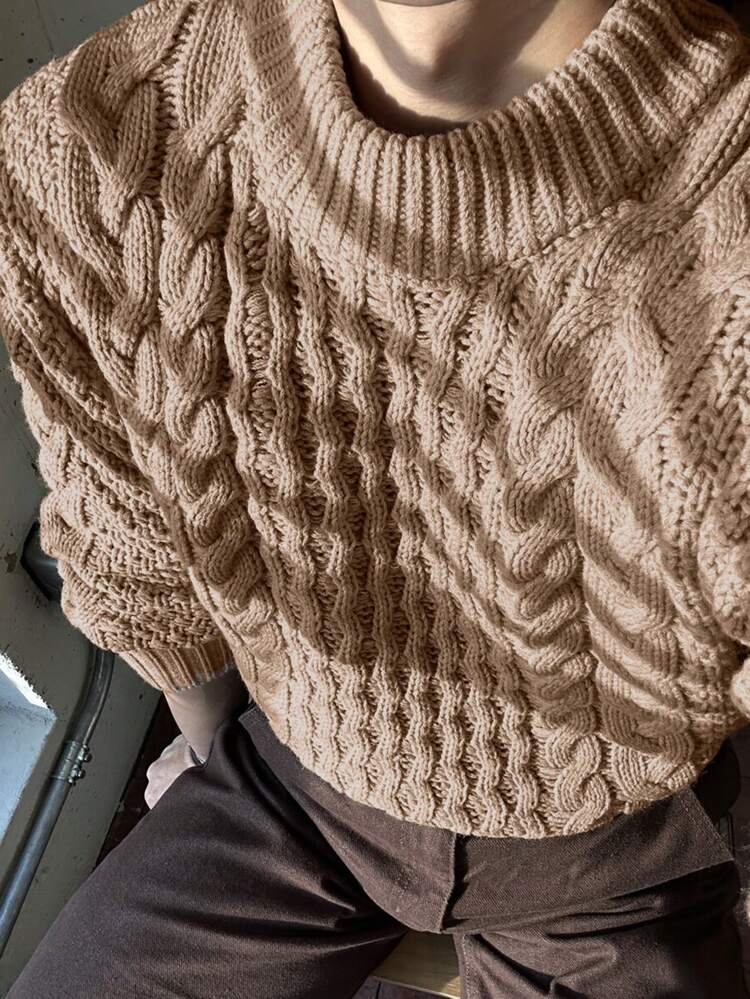 Men's Casual Solid Color Twisted Knit Sweater, Autumn/Winter