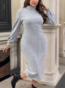 SHEIN Privé Plus Size Elegant Casual & Commuter Fitted Collared Long Sleeve Fleece Ribbed Knit Dress - Grey - View 1