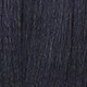 S1B