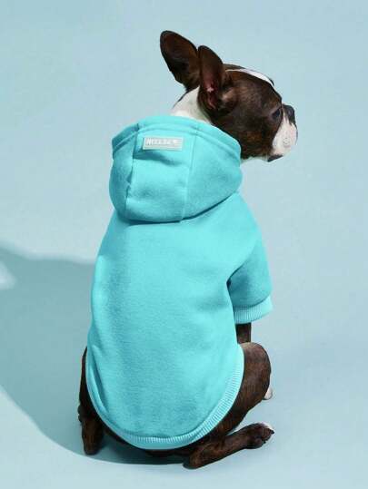 PETSIN 1pc Pet Thermal Lined Warm Sweatshirt, Light Blue