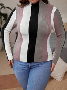 SHEIN Clasi Plus Size Herfst/Winter Casual Alledaagse Kleur Blokkerend Skinny Geribbelde Gebreide Trui