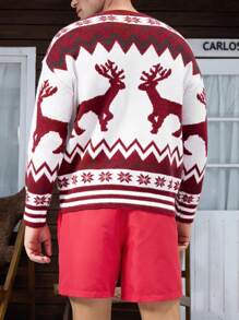 Manfinity Hypemode Men Winter Christmas Geo & Elk Pattern Casual Long Sleeve Graphic Color Block Sweater, For Party, Friends