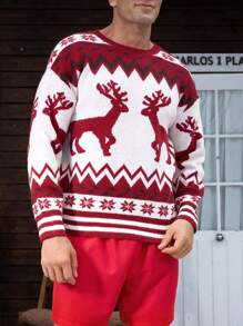 Manfinity Hypemode Men Winter Christmas Geo & Elk Pattern Casual Long Sleeve Graphic Color Block Sweater, For Party, Friends
