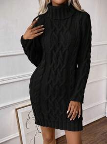 女式休闲日常高领纯色粗针织毛衣裙，秋冬 - 黑色 - 查看 3