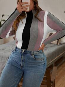 SHEIN Clasi Plus Size Herfst/Winter Casual Alledaagse Kleur Blokkerend Skinny Geribbelde Gebreide Trui