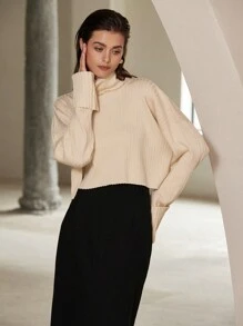 SHEIN Privé Minimalist Fashion High Neck Loose Long Sleeve Pullover Sweater, Knit Pullover Fall Winter - Khaki - View 1