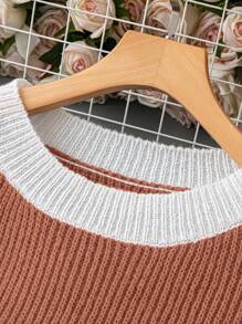 SHEIN LUNE Plus Size Autumn/Winter Casual Colorblock Raglan Loose Knit Sweater