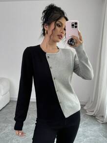 Chiquease 1pc Women's Colorblock Button Front Long Sleeve Casual Pullover Sweater Knit Pullover Fall Winter Outfit