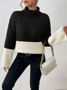 Chiquease 1 Stück Damen Farbblock Stehkragen Lässig Pullover