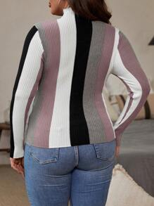 SHEIN Clasi Plus Size Herfst/Winter Casual Alledaagse Kleur Blokkerend Skinny Geribbelde Gebreide Trui