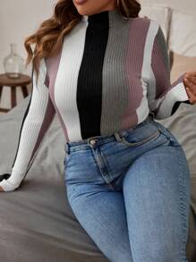 SHEIN Clasi Plus Size Herfst/Winter Casual Alledaagse Kleur Blokkerend Skinny Geribbelde Gebreide Trui