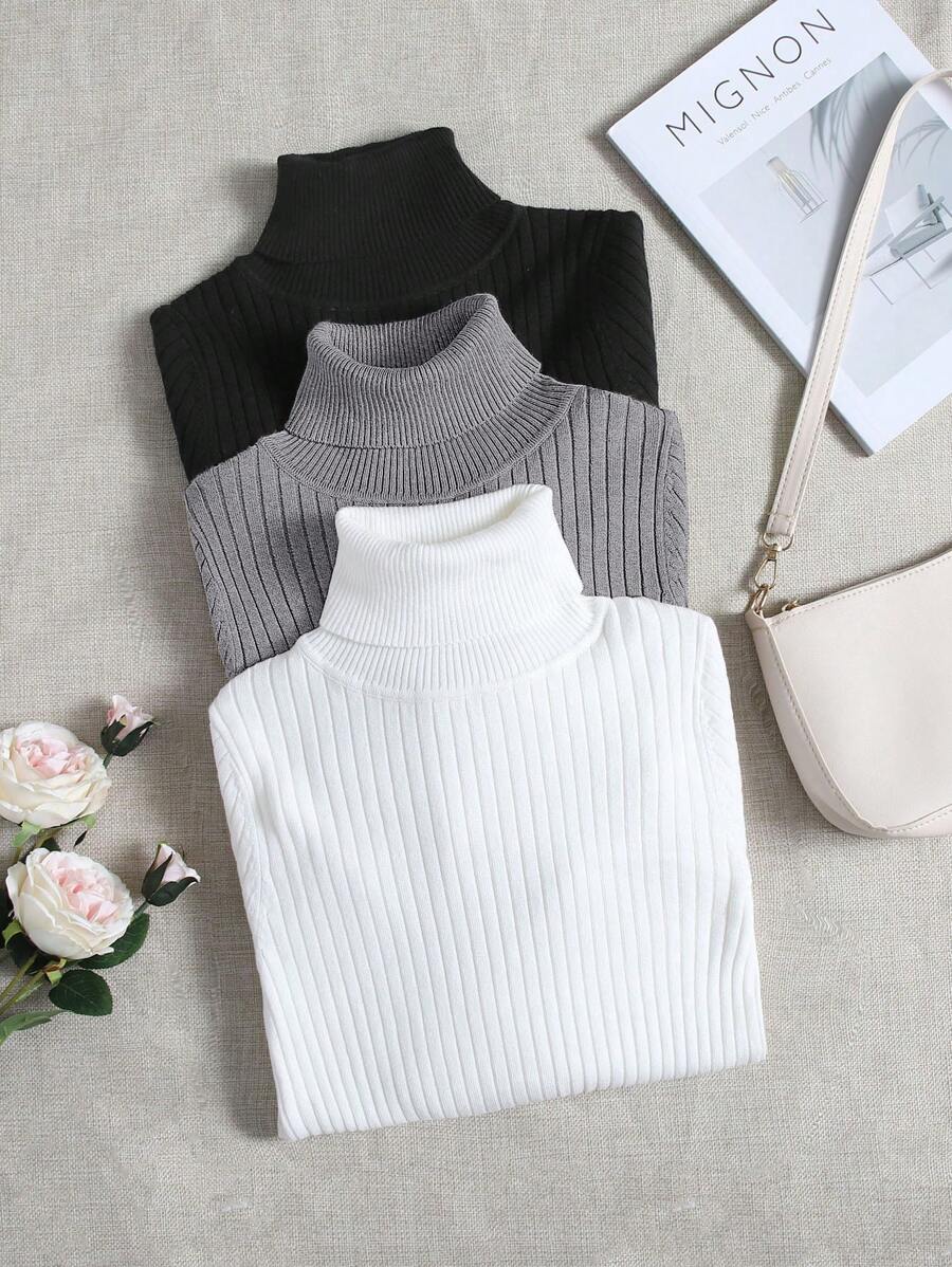 SHEIN PETITE Women Casual High Neck Solid Color Ribbed Knit Sweater, Autumn/Winter